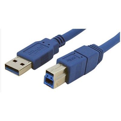 Image de Câble USB 3.0 AM-BM 15FT