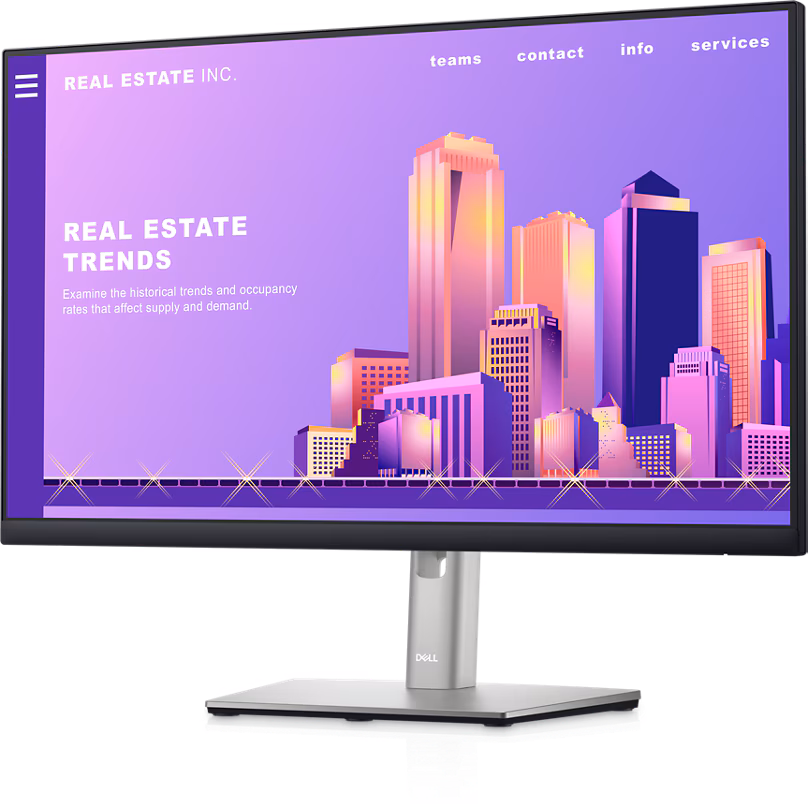 Image de Moniteur Dell 24 - P2422H